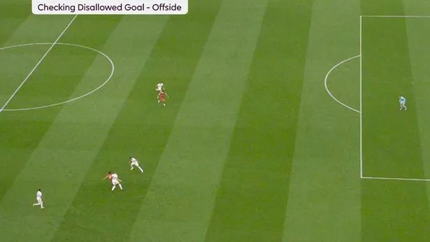 Luis Diaz's goal was wrongly chalked off